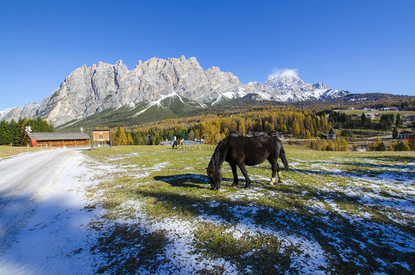 Esterno - Appartamento in affitto a Cadin, Cortina d'Ampezzo