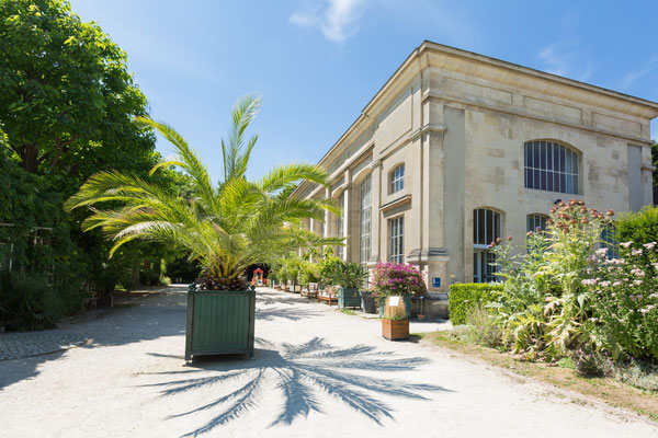 Jardin des Plantes. Foto: Caen la Mer Tourisme / Pauline Mehdi