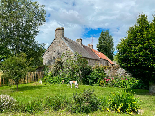 Manoir de la Comté bietet viel Platz für Mensch und Hund.