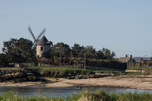 Eine alte Windmühle zwischen Barfleur und Gatteville.