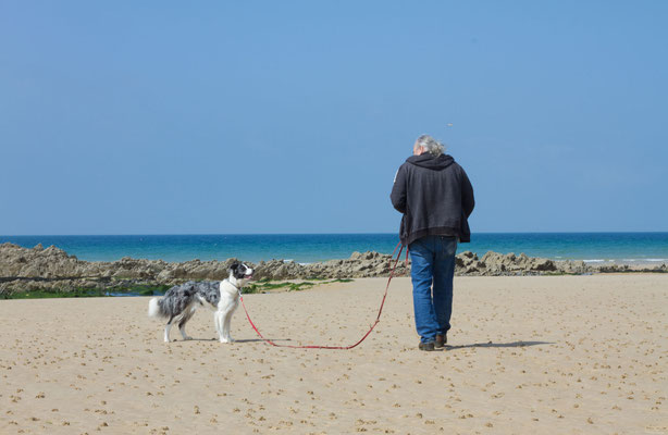 Strand von Biville.