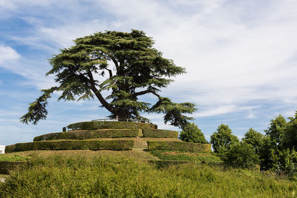 Parc Michel d'Ornano. Foto: Caen la Mer Tourisme / Pauline Mehdi