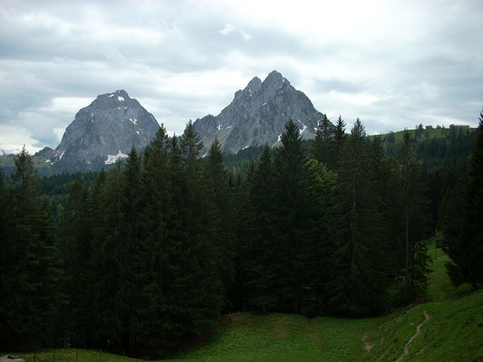 Dann kam der Anstieg zur größten Höhe, die ich mit 1.444 m auf meinen gesamtem Weg bis Santiago zu bewältigen hatte. Im Hintergrund die beiden Mythen.