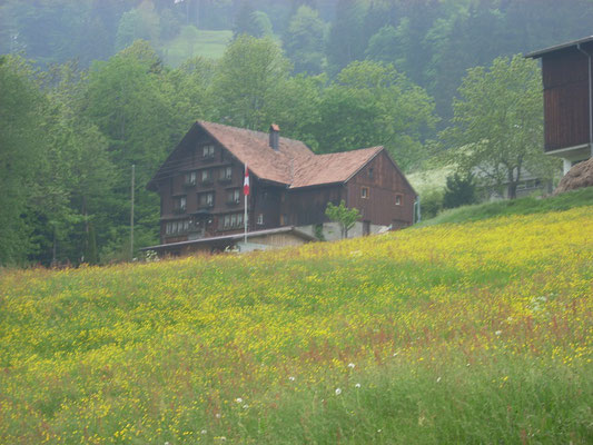 Meine zweite Übernachtung in der Schweiz hatte ich in diesem Bauernhof. Obwohl das Angebot "Schlafen im Stroh" heißt, bekam ich ein kleines Zimmer mit Bett und herrlichem Ausblick.