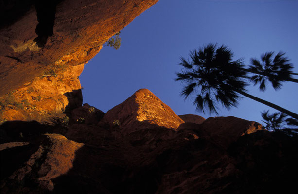 Frog Hole in den Bungle Bungles, Purnululu Nationalpark, West Australien