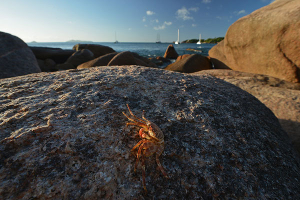 Anse Lazio, Praslin