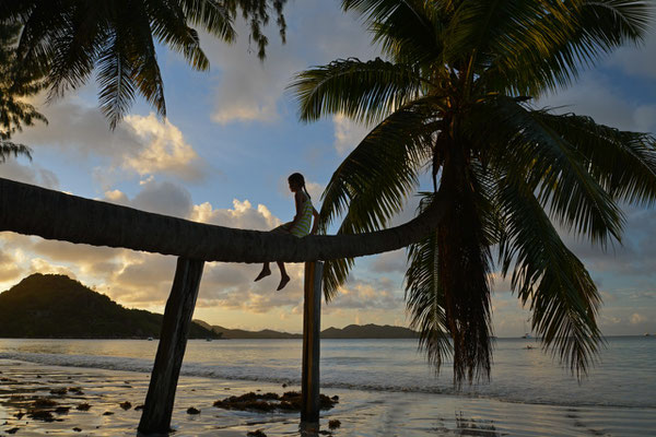 Anse Volbert, Praslin
