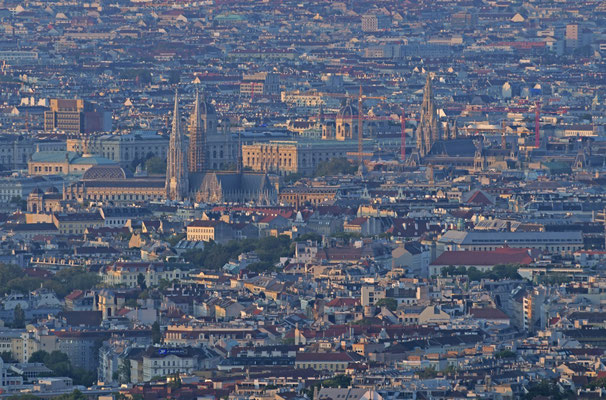 Sonnenaufgang über Wien vom Leopoldsberg