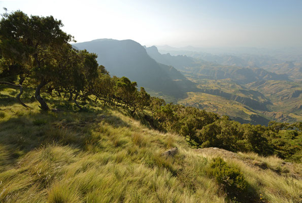Simien Berge, Äthiopien