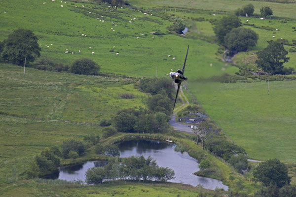 Hawk, Mach Loop, Wales - Nikon D850 / Nikkor 200-500/5.6