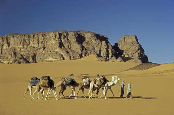 Tuareg in der Sahara, Libyen
