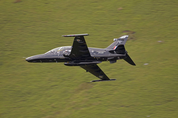 Hawk, Mach Loop, Wales - Nikon D850 / Nikkor 200-500/5.6