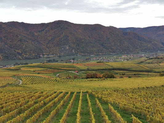 Wachau