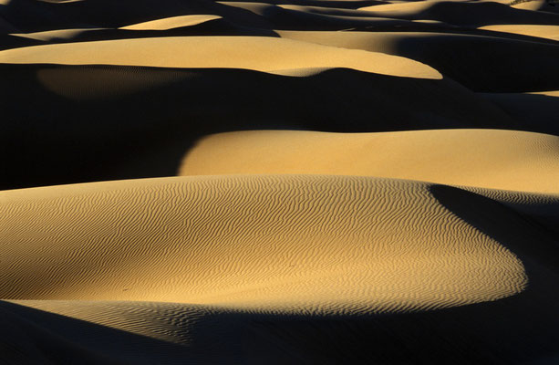 In den Wahiba Sands am Rande der Rub al Khali Wüste - des "Leeren Viertels" - im Oman