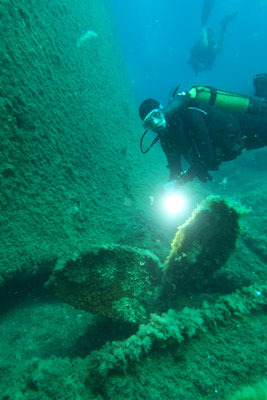 Wrack Vera, Skiathos, Griechenland