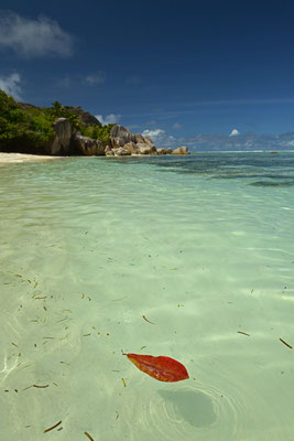 Anse Source d´Argent, LaDigue
