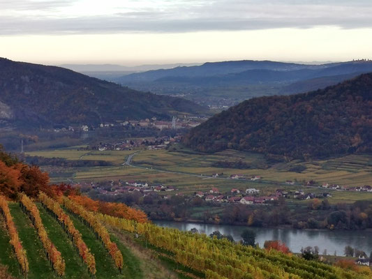Wachau