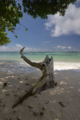 Anse La Blague, Praslin