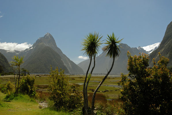 Milford Sound mit dem Mitre Peak, Südinsel, Neuseeland