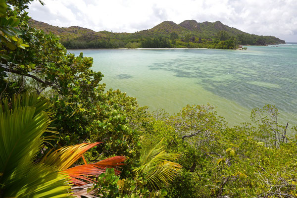 Curieuse Island