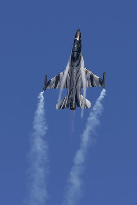 Belgian Solo Display "Vador", Malacky SIAF Slowakei, 2021