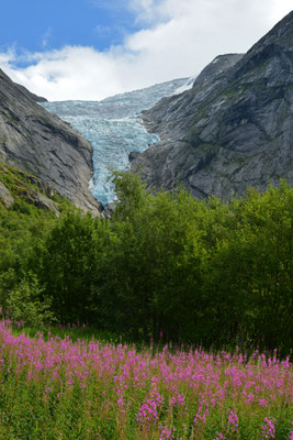 Briksdalsbreen Gletscher, Norwegen