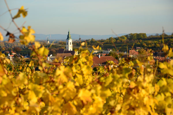 Langenlois