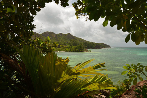 Curieuse Island
