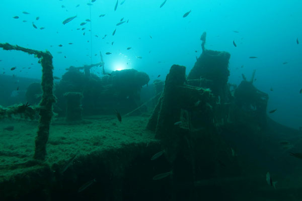 Wrack der Christoforos, Skopelos, Griechenland