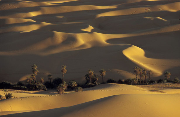 Im Gebiet der Mandara Seen, Sahara, Libyen
