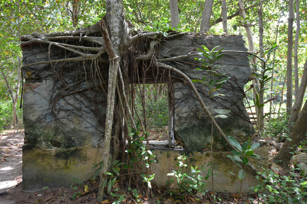 ehemalige Leprastation auf Curieuse Island