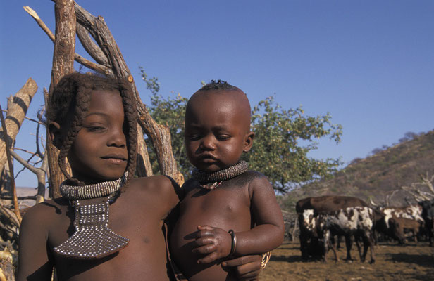Himba-Kinder beim Vieh-hüten im Kaokoveld, nördliches Namibia