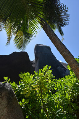 Anse Source d´Argent, LaDigue