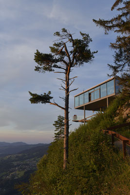 Am Karren in Dornbirn