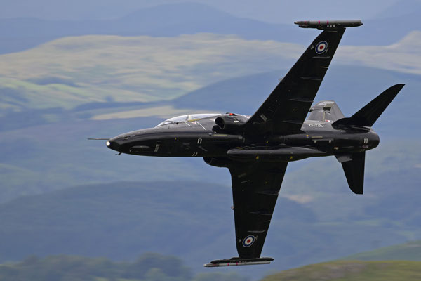 Hawk, Mach Loop, Wales - Nikon D850 / Nikkor 200-500/5.6