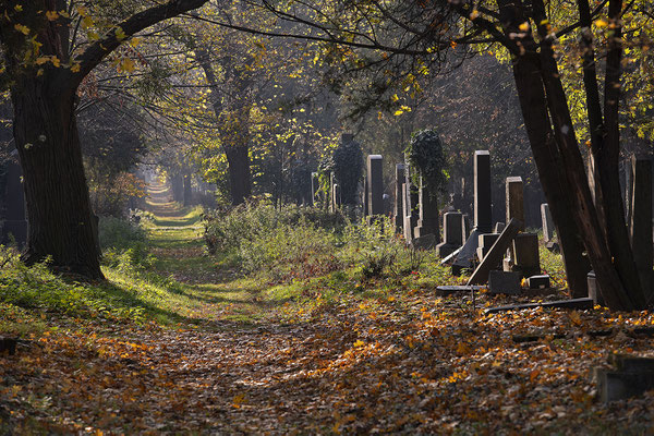 alter jüdischer Friedhof am Zentralfriedhof Wien