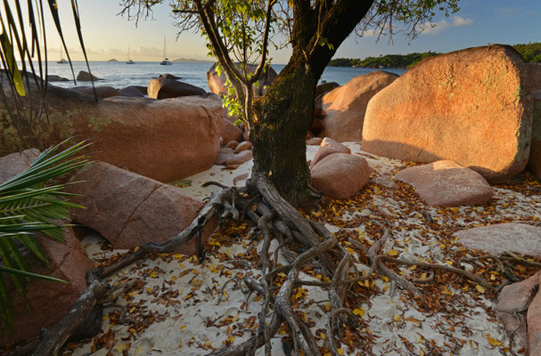 Anse Lazio, Praslin
