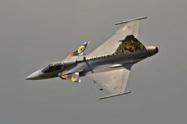 Gripen, Airpower, Zeltweg 2011