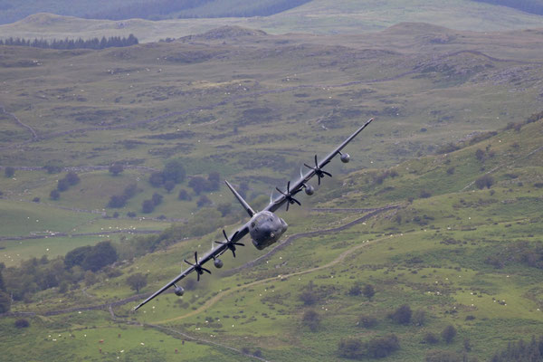 C-130 Hercules, Mach Loop, Wales - Nikon D850 / Nikkor 200-500/5.6