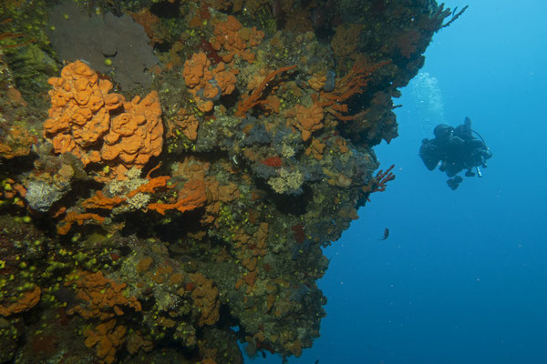 Deep Cave, Alonnisos, Griechenland