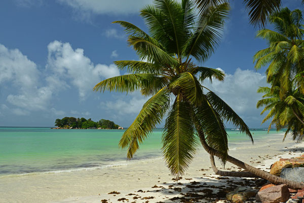 Anse Volbert, Praslin