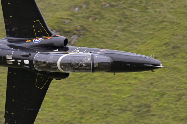 Hawk, Mach Loop, Wales - Nikon D850 / Nikkor 200-500/5.6