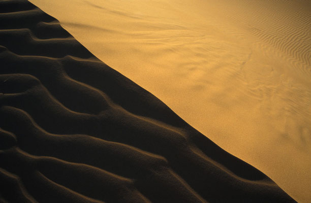 In den Wahiba Sands am Rande der Rub al Khali Wüste - des "Leeren Viertels" - im Oman