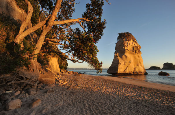 Cathedral Cove auf der Coromandel Peninsula, Nordinsel, Neuseeland