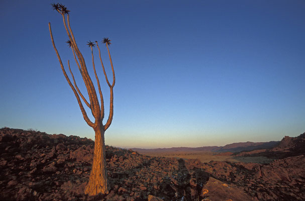 Auf der Koiimasis Gästefarm in den Tiras Bergen, Namibia