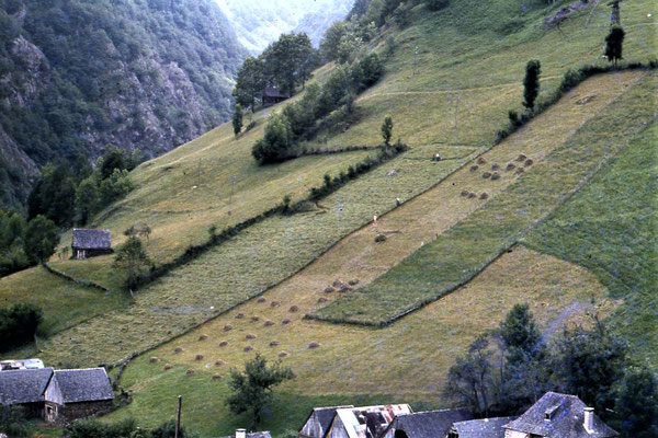 Période des foins à Eylie en 1982