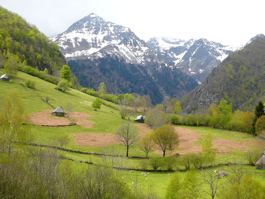 Terres morcelées au pied de la montagne