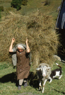 Eugénie d’Eylie portant un fagot de foin