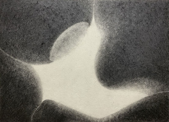 Stuffed toy　Pencil on Paper　238×329mm　2025