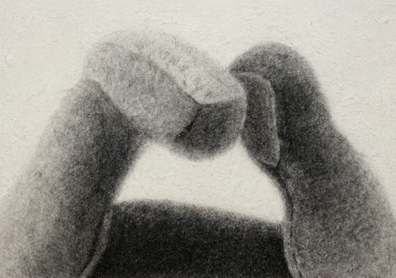 Stuffed toy　Pencil on Paper　158×227mm　2025